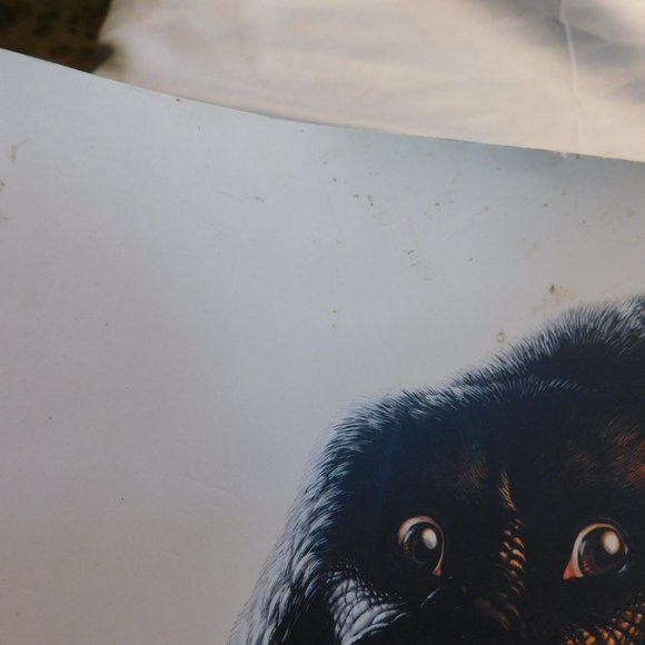 The Rolling Stones 50 & Counting Live Concert Tour Book - Picture 3 of 6